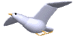 3d bird.gif (8337 bytes)